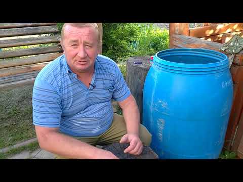 Видео: ореховое варенье