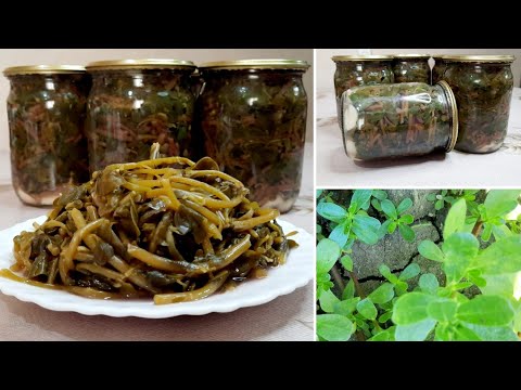 Видео: Դանդուռի մարինադ/Արագ/հեշտ պատրաստվող և համեղ//Маринад из портулака пез стерилизации//marinade