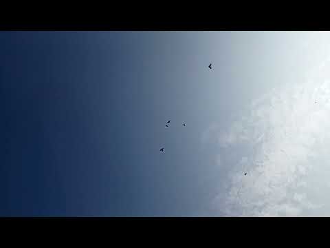 Видео: Бакинские пролетали не плохо