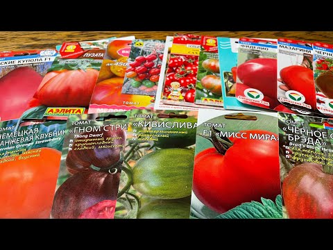 Видео: ЛУЧШИЕ СРОКИ ПОСЕВА ТОМАТОВ, ПРОВЕРЕННЫЕ ГОДАМИ!