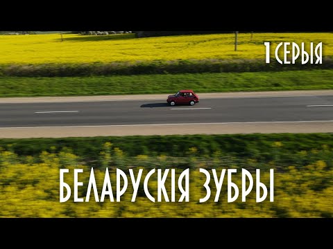 Видео: БЕЛАРУСКІЯ ЗУБРЫ (1 серыя)