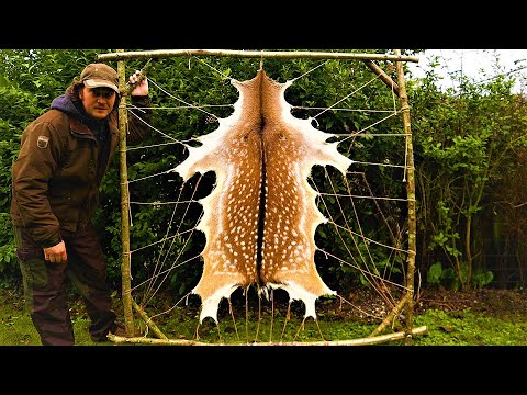 Видео: КАК Я ВЫДУБЛИВАЮ ШКУРЫ ЖИВОТНЫХ (простой способ) для бушкрафта / выживания / походов. Ковёр Caveman!