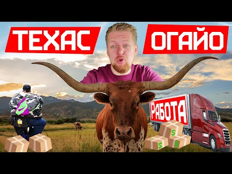 Видео: Работа в Америке Дальнобойщиком во время эпидемии от Техаса до Огайо