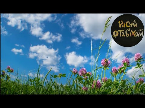 Видео: Как нарисовать клевер. Как легко нарисовать клевер. Нарисовать клевер и траву.