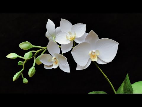 Видео: ABC TV | Как сделать цветок орхидеи фаленопсис | Flower Die Cuts - Учебное пособие по ремеслу