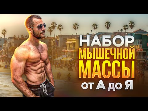 Видео: Набор Мышечной Массы от А до Я 💪