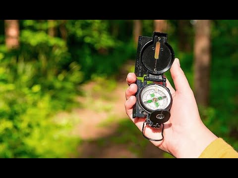 Видео: Соревнования по спортивному ориентированию среди детско-юношеских команд памяти П. М. Машерова. 2024