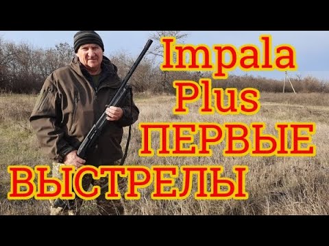 Видео: Impala Plus Nero S. Первые выстрелы с Турецкого ружья Импала Плюс