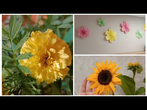Видео: Дары осени🍁 Красная луна🌜 Цветы💖 Творческие минутки🤭
