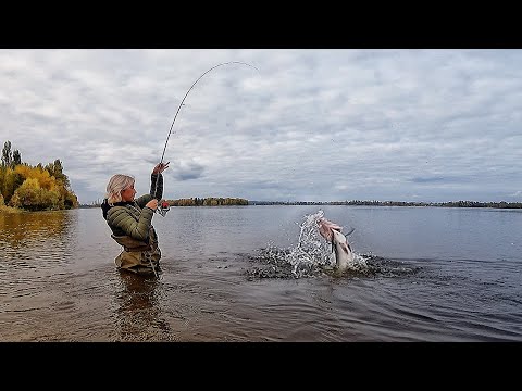 Видео: ВОНА ПОРВАЛА  СУДАКА НА ШМАТТЯ! Ловля судака на джиг з берега восени! Рибалка на спінінг 2022