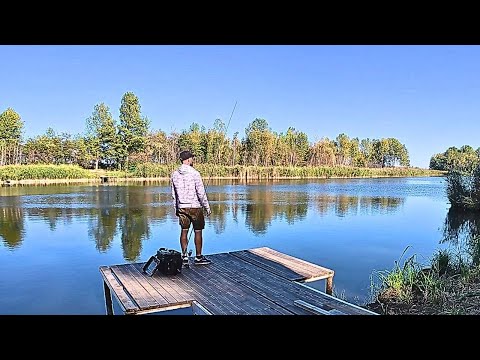 Видео: !!! НОВА ВОДОЙМА !!! Щука починає брати, Вечірня рибалка на щуку біля дому