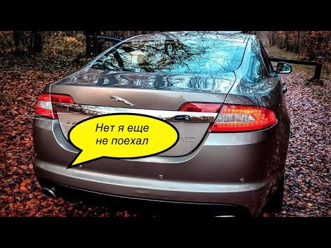 Видео: Jaguar XF еще немного и меня увезут в дурку. Стоим на месте, безумие и отвага.