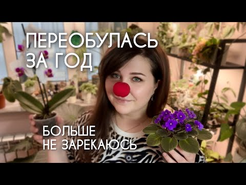 Видео: Как КАТЕГОРИЧЕСКИЕ "НЕТ" превратились в СПИСОК ПОКУПОК