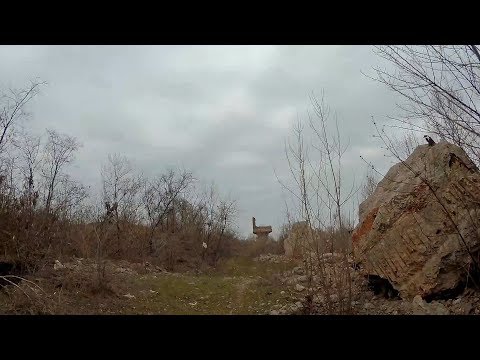 Видео: Кривой Рог: Северный и Бурщицкий отвал, ЮГОК