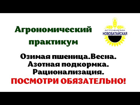 Видео: Озимая пшеница. Весна. Азотная подкормка. Рационализация.