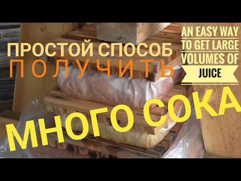 Видео: Простой Способ Получения Большого Объема Яблочного Сока