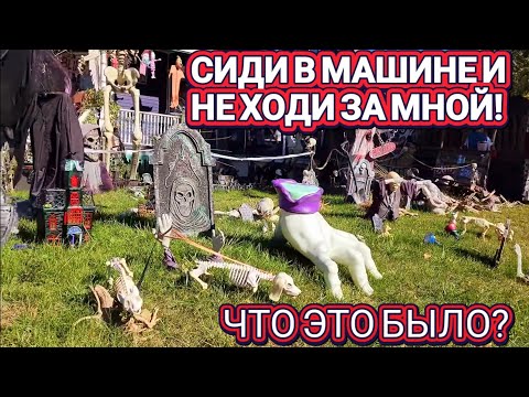 Видео: ❤️‍🔥Сиди в Машине!Не Выходи!Ужастики на Улицах!❤️‍🔥