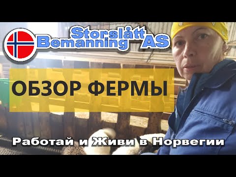 Видео: Обзор фермы, где я работаю в Норвегии