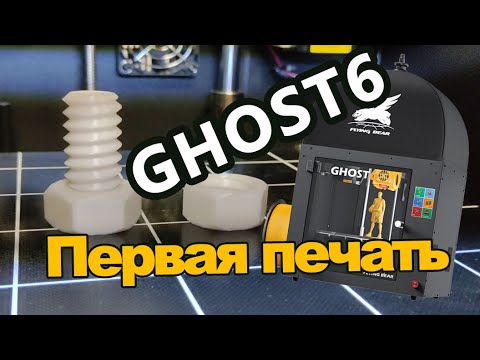 Видео: Flyingbear Ghost 6. Первая печать. First print. 3D принтер.