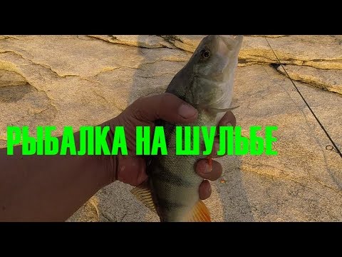 Видео: РЫБАЛКА НА ШУЛЬБЕ-КЫЗЫЛКА И КОВАЛЕВКА.