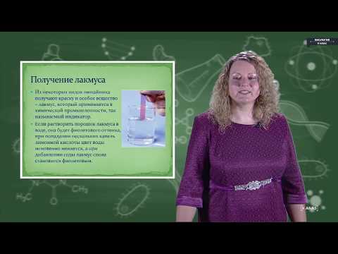 Видео: Биология - 6 класс - Лишайники