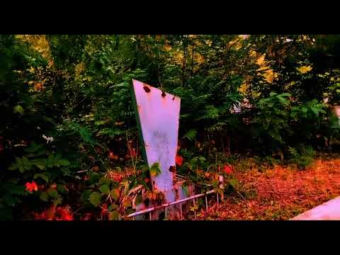 Видео: Ваша первая магическая практика на кладбище. Знакомство с Хозяином Кладбища и Черной Вдовой.