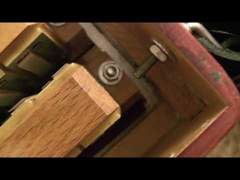 Видео: Weltmeister Diana ч 2