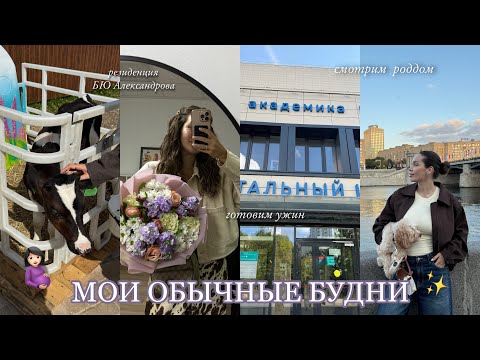Видео: ВЛОГ: Мои Будни / Выбираем Роддом / Дегустация Сырков