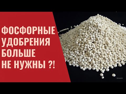 Видео: Вместо фосфорных удобрений микробиология! Фосфат мобилизаторы.