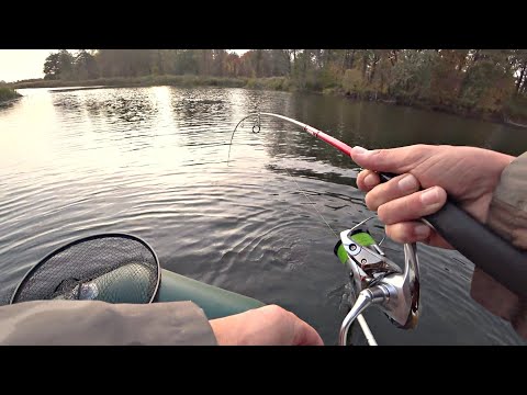 Видео: НЕ МОГУ ЕЕ ПОДНЯТЬ.... Кто Кого?!! У Щуки Начался Жор! Рыбалка на спиннинг.