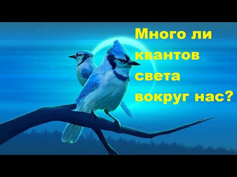 Видео: Много ли квантов света вокруг нас?