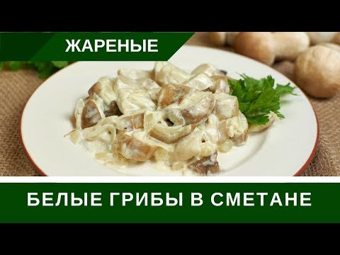 Видео: Жареные Белые Грибы В Сметане