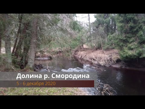 Видео: Пеший #соло #поход Долина реки Смородина  (ПВД 5-6 дек. 2020)