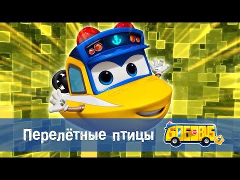 Видео: 🚌Школьный автобус Гордон. Сезон 7 - Серия 4.Перелётные птицы - Мультфильм
