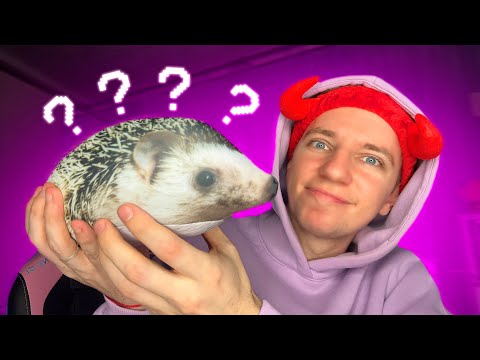 Видео: АСМР МОИ ЛЮБИМЫЕ ТРИГГЕРЫ 🦔
