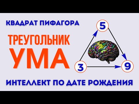 Видео: Треугольник ума в квадрате Пифагора | Как работает ваш интеллект