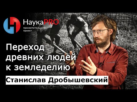 Видео: Переход человека к земледелию и скотоводству | Лекции по антропологии – Станислав Дробышевский