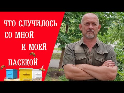 Видео: Что Случилось со  Мной и Моей Пасекой... || What happened to me and my apiary...