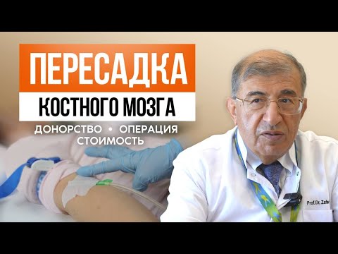Видео: ПЕРЕСАДКА КОСТНОГО МОЗГА. Как проходит ЛЕЧЕНИЕ и ТРАНСПЛАНТАЦИЯ