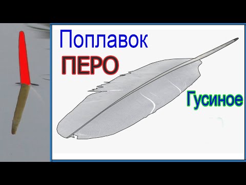 Видео: Поплавок "ГУСИНОЕ ПЕРО". Варианты применения. Fishing angeln câu cá memancing Рыбалка- как вижу её Я