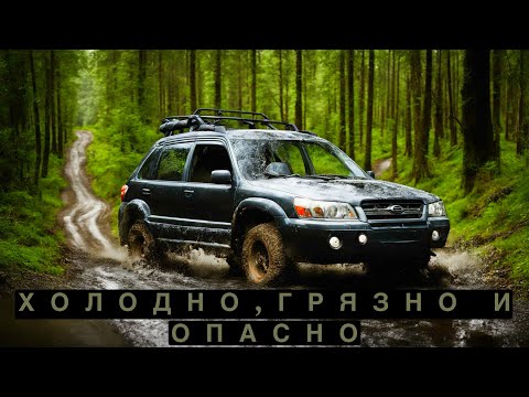 Видео: Проехал вглубь острова САХАЛИН, чтобы найти ЭТО