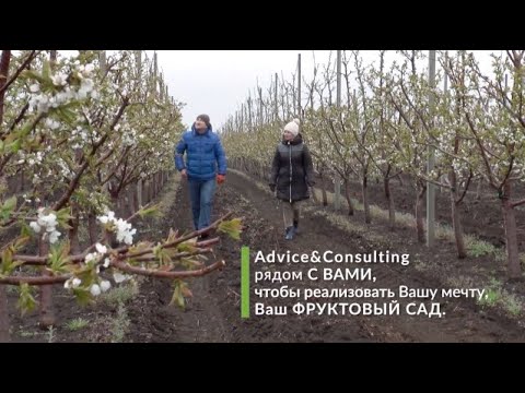 Видео: Проект под ключ: история успешного интенсивного сада