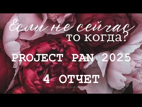 Видео: PROJECT PAN 2025 ОТЧЕТ 4