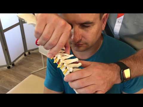 Видео: Мануальная терапия шейного отдела. правка суставов шеи