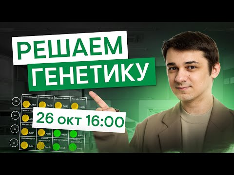 Видео: Учимся решать задачи по генетике | Биология с Мишей Гис | ЕГЭ 2026 | СМИТАП