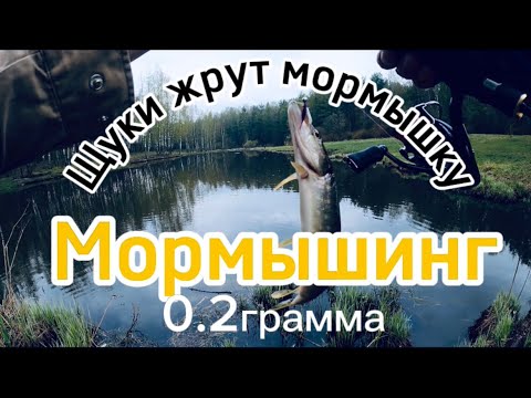 Видео: Мормышинг удивил!Ловля щуки и окуня.Рыбалка в Ленинградской области#мормышинг #рыбалка#crazyfish