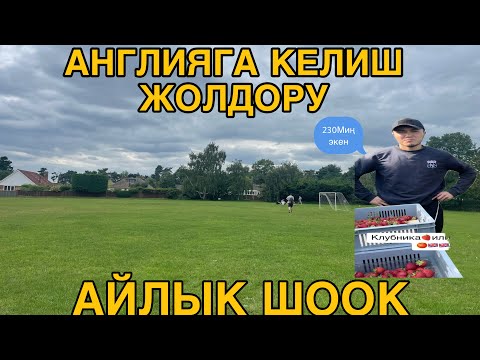 Видео: Англияга келем дегендер 200миң ашык аласын көрүнүздөр #кыргызстан #жанылыктартоптому #rek