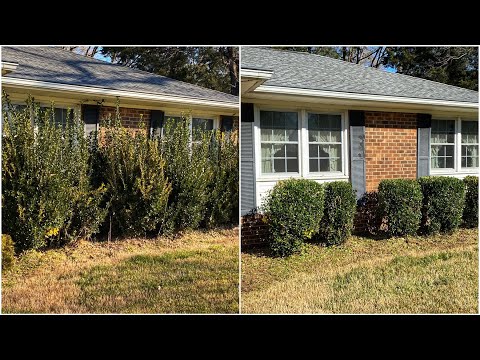 Видео: ЗАРОСШИЕ ИЗГОРОДНЫЕ ИЗГОТОВЛЕНЫ!! [Как ни странно, приятно; командная работа]