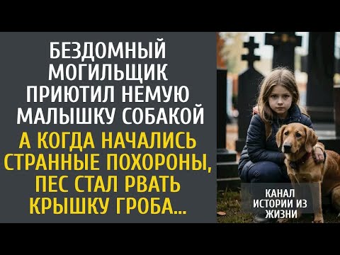 Видео: Могильщик приютил немую малышку собакой… А едва начались похороны, пес стал рвать крышку гроба…