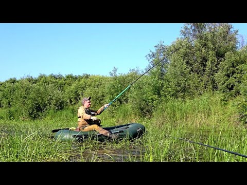 Видео: В ЭТОЙ ТРАВЕ ПОЛНО РЫБЫ!!! УДИВИТЕЛЬНАЯ РЫБАЛКА С НОЧЁВКОЙ у КОСТРА!!!